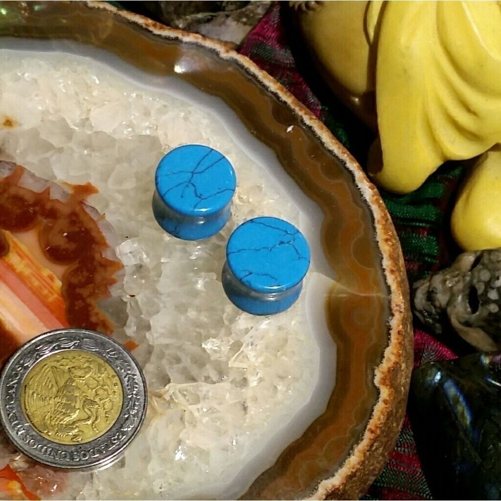 12mm Dyed Howlite Double Flare Plugs